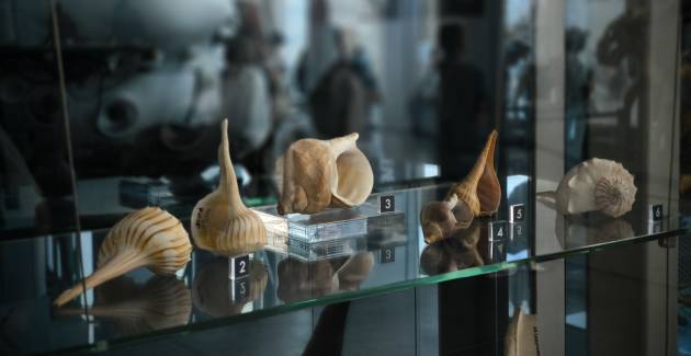 Мир наоборот