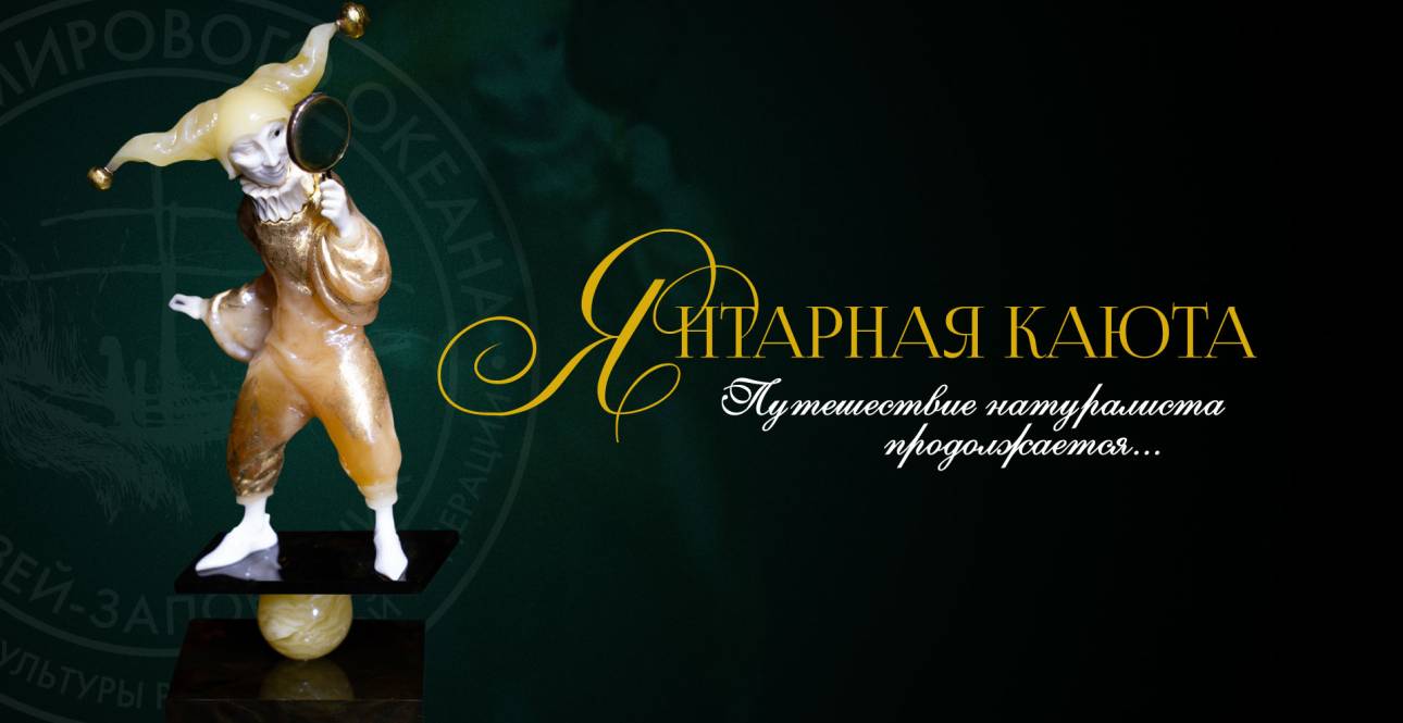 Янтарная каюта. Путешествие натуралиста продолжается