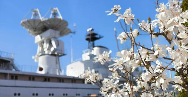 Музей Мирового океана перешел на весенне-летний режим работы