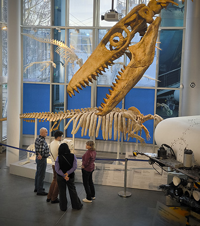 Экспозиция «Глубина»