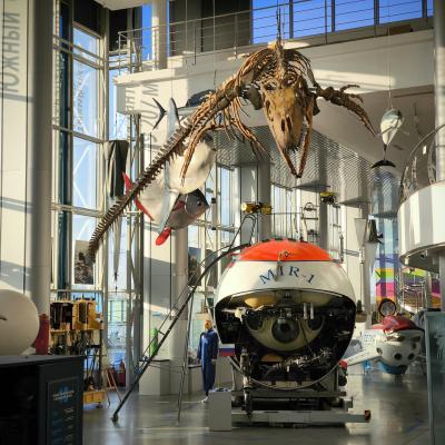 Главный корпус. Экспозиция «Глубина», 2025 год